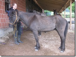 Léttir und Arwen 27.05.2013 063